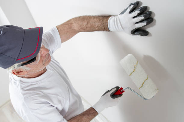 Best Attic Mold Removal  in Carlisle, OH