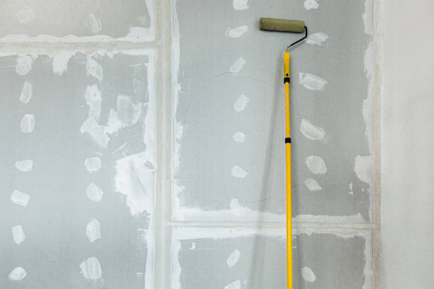 Best Environmental Consulting for Mold Prevention  in Carlisle, OH