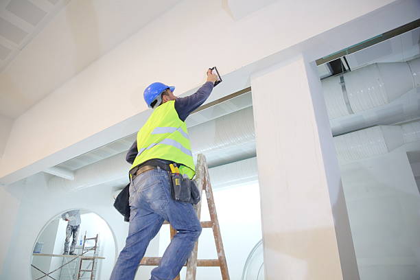 Best Environmental Consulting for Mold Prevention  in Carlisle, OH